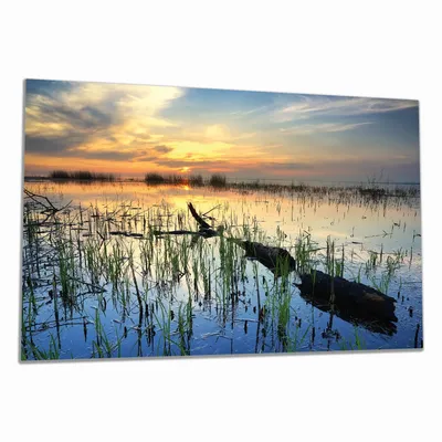 Produktbild von Wallario Herdabdeckplatte aus Glas, Größe 80 x 52 cm 1-teilig, Motiv Schilf am Abend - Sonnenuntergang über der Seelandschaft