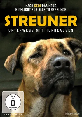 Obrázok produktu pre Streuner - Unterwegs mit Hundeaugen