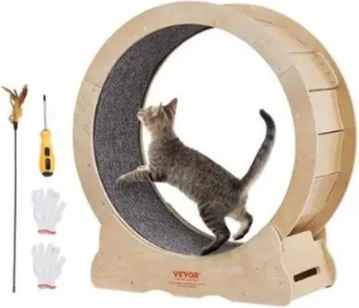Produktbild von Famanu Katzenlaufrad M - Fluisterleise, 35,8 Zoll, inklusive Spielzeug