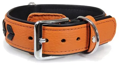 Produktbild von Das Lederband Hundehalsband Granada walnut/black, Länge: 60 cm / Breite: 40 mm