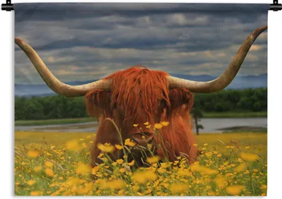Produktbild von MuchoWow® Wandteppich Wandbehang Schottischer Highlander - Tiere - Blumen 90x67.5 cm Tapisserie Dekoration Wandtuch - Fototeppich - Wand-Skulpturen