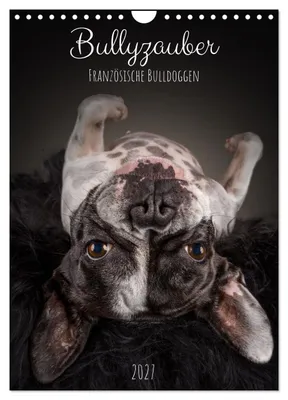 Produktbild von Bullyzauber - Französische Bulldoggen (Wandkalender 2027 DIN A4 hoch), CALVENDO Monatskalender