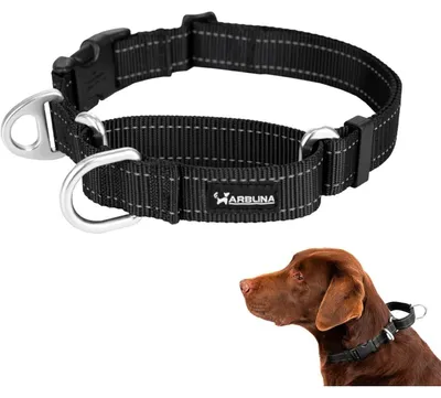 Image de Collier anti-traction pour chiens, noir, réfléchissant, en nylon