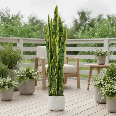 Produktbild von Künstliche Sansevieria - 90 cm - Mit Topf - Für Innenräume - Dekorationspflanze - Für Wohnzimmer und Flur