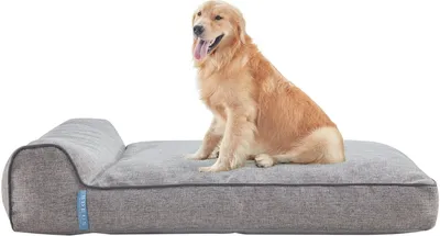 A golden retriever dog sits on a gray dog bed.
