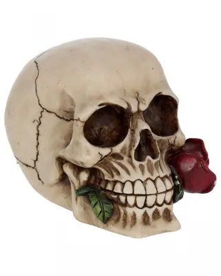 Produktbild von ";Rose from the Dead"; Totenkopf mit roter Rose
