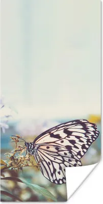 Produktbild von MuchoWow® Poster Schmetterling - Blumen - Frühling 60x120 cm - Wandschmuck