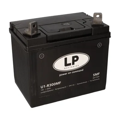 Immagine prodotto di Batteria 12V 24Ah per trattorini rasaerba LB U1-R300MF
