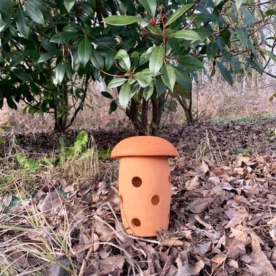 Image de Lombricomposteur à enterrer -  0,8 L