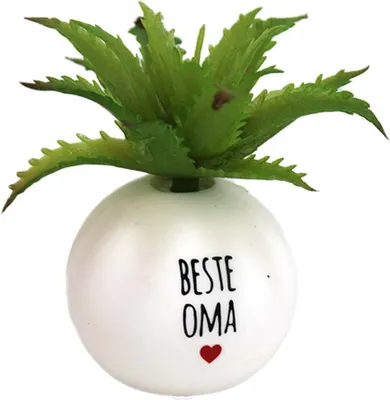 Obrázek produktu pro Umělá pokojová rostlina Mini „Nejlepší babička“ – cca 8 cm