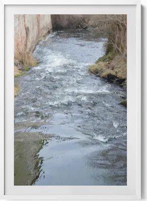 Produktbild von Tasovice Fluss Dyje Moravia– Wandbild mit Rahmen – Gerahmtes Bild  – Wanddekoration – 70x100 cm –  Weiß Rahmen