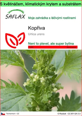 Obrázek produktu pro SAFLAX Garden to go - kopřiva - Urtica urens - 150 Semena - S květináčem, klimatickou poklicí a pěstebním substrátem