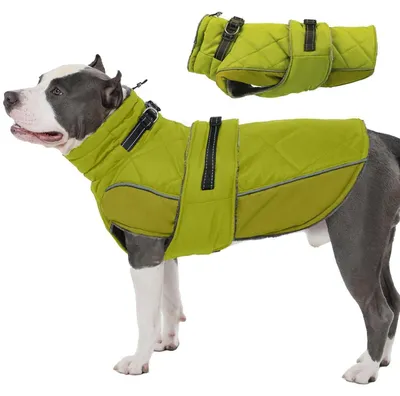 Obrázok produktu pre Zimný kabát pre psa, veľkosť XXL, zelený, vodeodolný, reflexný, 60 cm
