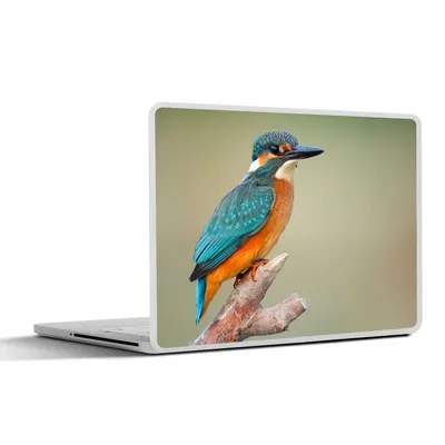 Produktbild von MuchoWow® Laptop Aufkleber Sticker Cover Vogel - Eisvogel - Zweig 25x18 cm - Laptop-Deko