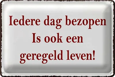 Produktbild von Blechschild Spruch 30x20cm ledere dag bezopen is ook een geregeld leven