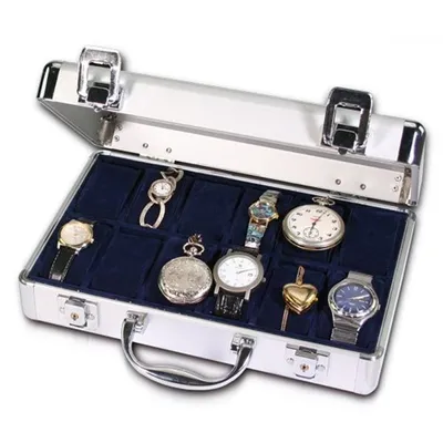 Image de Mallette pour montres SAFE 265