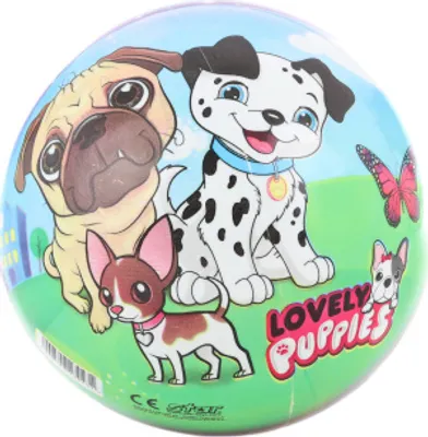 Immagine prodotto di Cani a palla 23 cm
