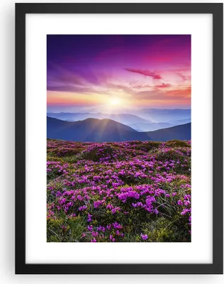 Produktbild von Gerahmtes Poster - Schwarzer Rahmen - Wiese Berg Himmel Landschaft - 30x40 cm - Wand Bild - Wanddeko - Wandbilder - Wandposter - Bilderrahmen - Bilder - Kunstdruck - Wandbild - P2BPA30x40-2719