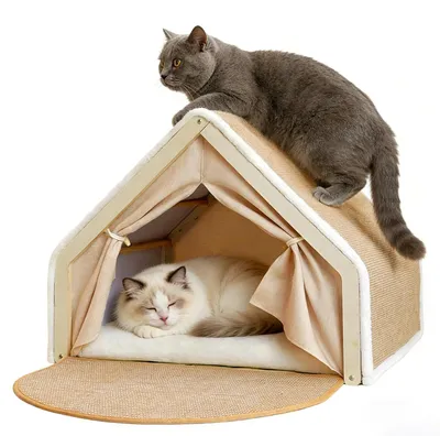2-in-1 Katzenhaus mit Kratzbrett, Indoor Katzenzelt