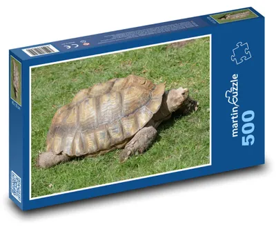 Zdjęcie produktu dla Puzzle 500 Żółw na słonecznej łące - martinpuzzle