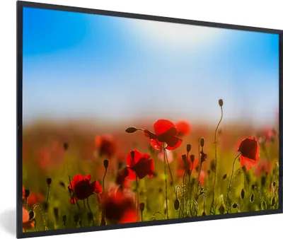 Produktbild von MuchoWow® MuchoWow® Gerahmtes Poster Mohnblumen unter einem klaren blauen Himmel. 30x20 cm - Poster mit zchwarzem Bilderrahmen - Kunstdruck - Bild-Poster