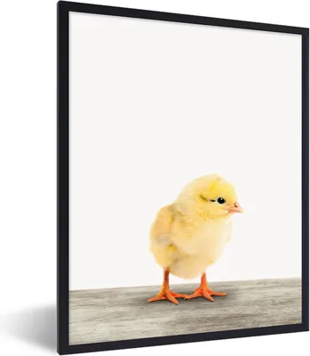 Produktbild von MuchoWow® Gerahmtes Poster Küken - Tiere - Jungen - Mädchen - Kinder 60x80 cm - Poster mit Schwarzem Bilderrahmen Wandposter Rahmen Foto Bilder - Premium - Wanddeko Wohnzimmer