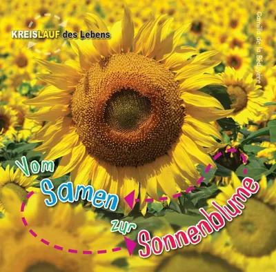 Produktbild von Vom Samen zur Sonnenblume