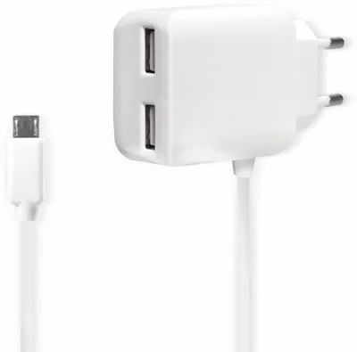 A white USB wall adapter with two USB ports and a white Micro-USB cable is shown against a white background.