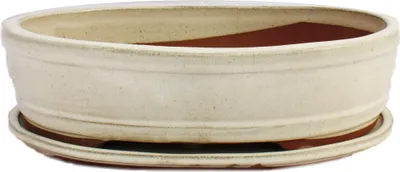 Image de bol bonsaï avec soucoupe taille 5 - beige clair - ovale - modèle o7 - l 31cm - b 24cm - h 7,5 cm