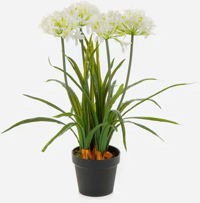 Produktbild von artplants.de Kunstblume Agapanthus LESEDA im Dekotopf, weiß, 65cm - Künstliche Schmucklilie