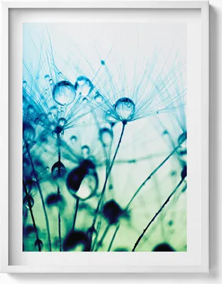 Produktbild von Tautropfen auf Gebläse– Wandbild mit Rahmen – Gerahmtes Bild  – Wanddekoration – 60x80 cm –  Weiß Rahmen