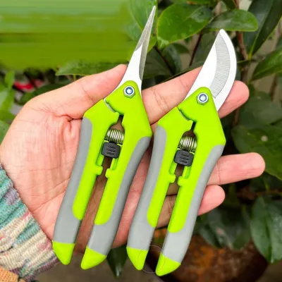 Produktbild von Set von 2 Gartenscheren, rostfreier Stahl für Gartenarbeit