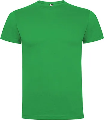 Zdjęcie produktu dla Roly KidsŽ Dogo Premium T-Shirt