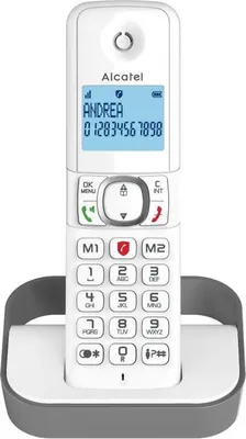 Image de Dect.100mem.ml.bloc appels.gris - Alcatel - F860GREY -