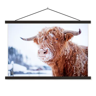 Produktbild von MuchoWow® Textilposter Schottischer Highlander - Schnee - Braun 60x40 cm mit schwarzem Rahmen - Hölzernes