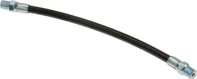 Immagine prodotto di Tubi flessibili per ingrassatore 250 mm 1/8" Bspt
