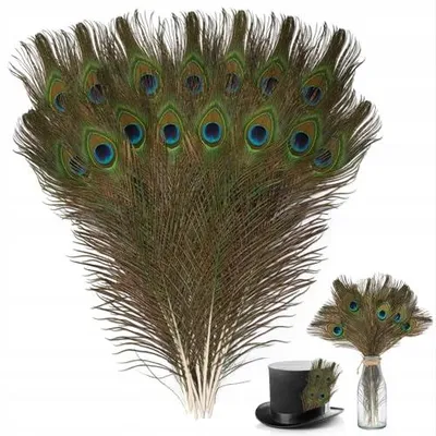 Zdjęcie produktu dla Pawie pióra do dekoracji DIY zestaw 15 szt. 40 50 cm rękodzieło