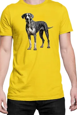 Immagine prodotto di Maglietta da uomo Dogs Breeds Havanese Dog Breed 005, Man S , Jaune
