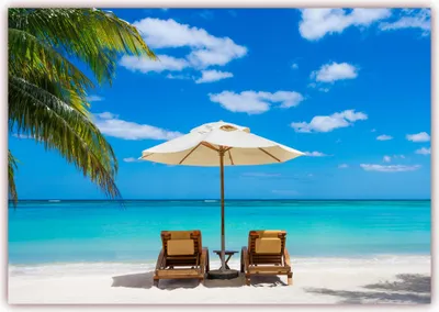 Produktbild von XXL Poster 100 x 70cm (S-817) Palmenstrand mit blauem Wasser und weißem Sand, Strand mit Liegest?hlen und Sonnenschirm (Lieferung gerollt!)