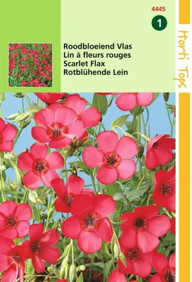 Produktbild von Rotblühende Lein | Blumensamen von Hortitops