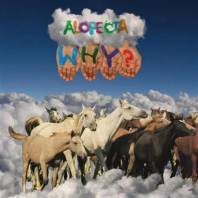 Produktbild von Why?: Alopecia