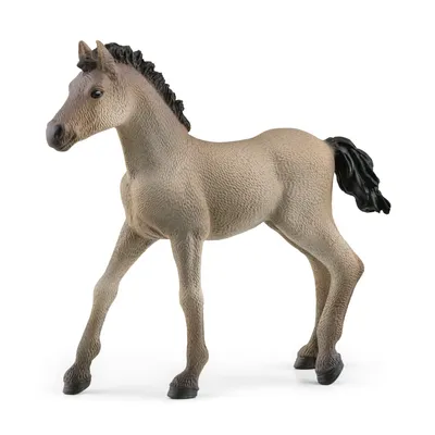 Produktbild von Schleich Criollo Definitivo Fohlen 13949