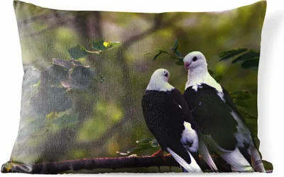 Produktbild von MuchoWow® Outdoor Kissen - Vögel - Zweig - Blätter - 60x40 cm - Wetterfest - Lounge Kissen - Zierkissen - Kissen für Innenräume