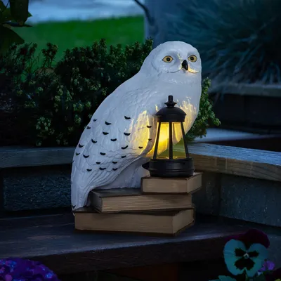 Immagine prodotto di Harry Potter lampada LunaGlo Gnomo Edvige