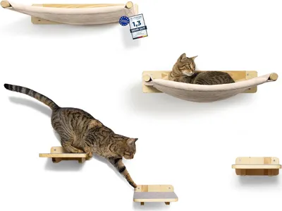 Produktbild von Kletterwand für Katzen - Wandkratzbaum und Katzentreppe - 5-teilig - Massivholz