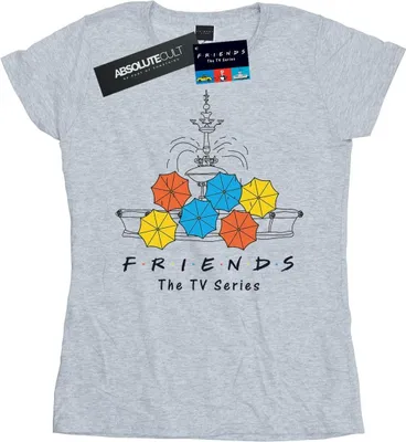 Produktbild von Friends - T-Shirt für Damen BI21097 (XXL) (Grau)