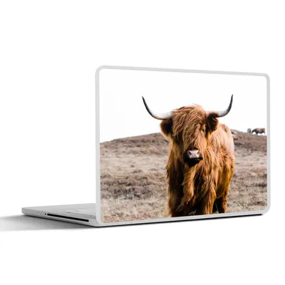 Produktbild von MuchoWow® Laptop Aufkleber Sticker Cover Schottische Highlander - Landschaft - Kuh - Braun - Tiere - Natur 40x30 cm - Laptop Dekoration - Selbstklebend