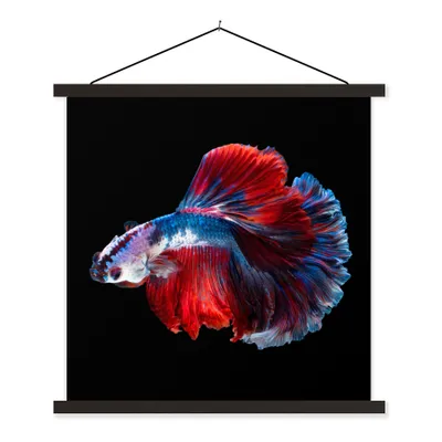 Produktbild von MuchoWow® Textilposter Fisch - Schwanz - Schwarz 120x120 cm mit schwarzem Rahmen - Aufhängungsset