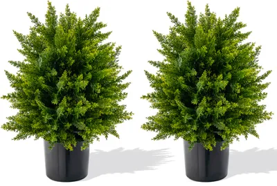 Zdjęcie produktu dla COSTWAY zestaw 2 sztucznych roślin 55cm, bukszpan cedrowy, sztuczne drzewko z doniczką, sztuczna roślina dekoracyjna, roślina domowa do biura, zielona