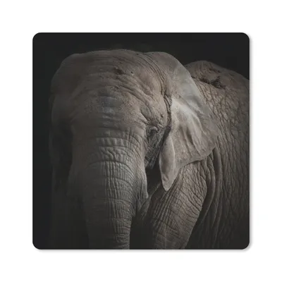 Produktbild von MuchoWow® Mauspad Mousepad Elefant - Porträt - Tiere - Schwarz 20x20 cm - Mousepads - Maus Mat - Pad - Mausunterlage - Desk Mat - Bureauartikeln
